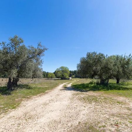 Finca El Palomar De La Vina Madrid Dış mekan fotoğraf