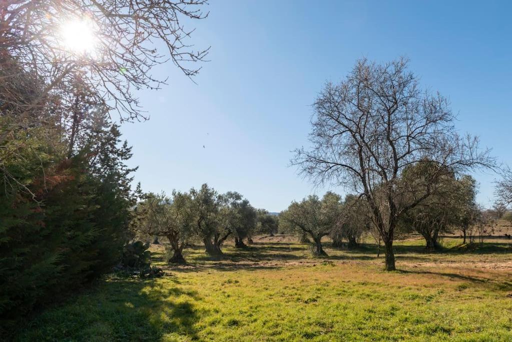Finca El Palomar De La Vina Madrid Dış mekan fotoğraf