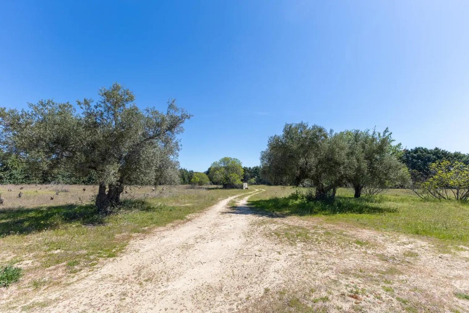 Finca El Palomar De La Vina Madrid Dış mekan fotoğraf